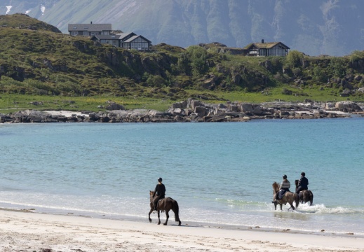 2022 - Lofoten 8325