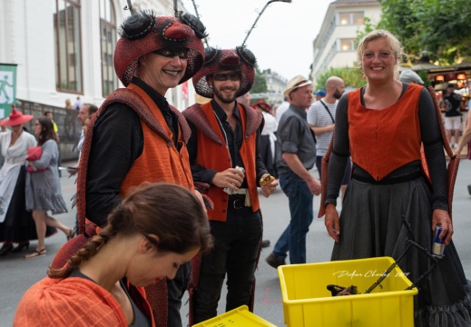 2019.07.25 - Fevi 1020210