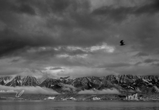 2015.02.02 - Neige 0050