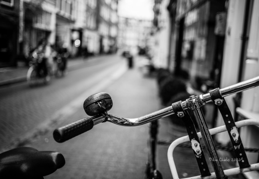 2020.01.18 - Amsterdam 0428