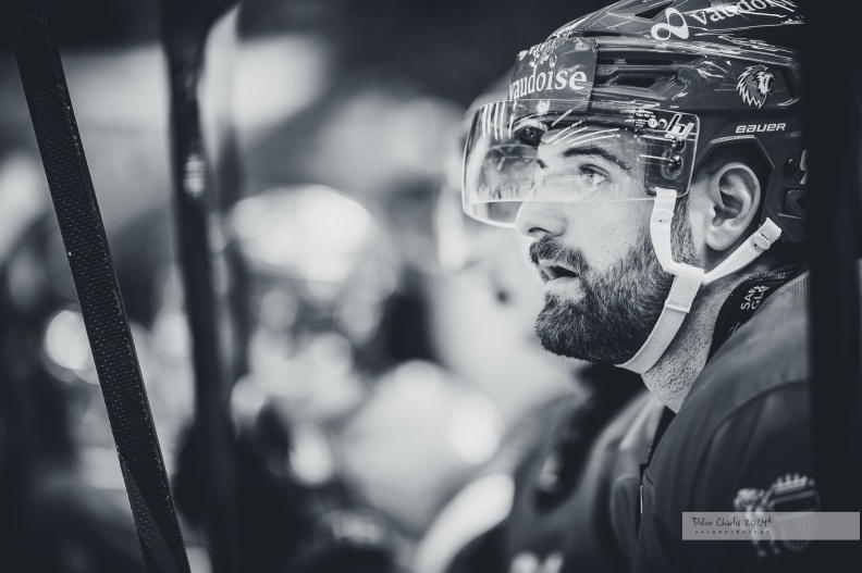 2024.11.28 - LHC-HCD.2_0862.jpg