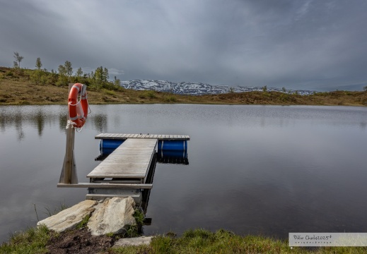 2025.05-06 - Norvège 3329