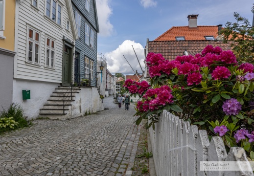 2025.05-06 - Norvège 3469