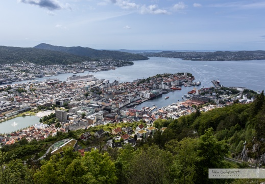 2025.05-06 - Norvège 3573