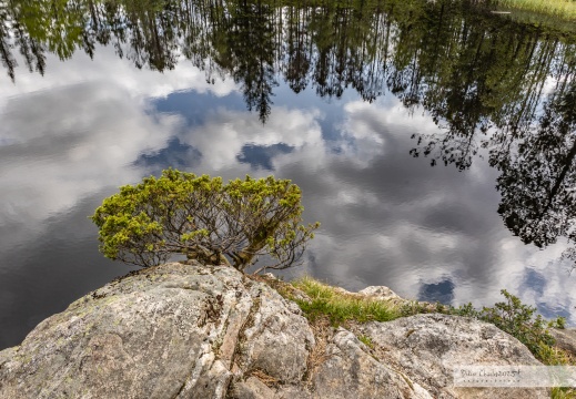 2025.05-06 - Norvège 3619